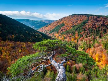 6 Tage Harz pur mit Besuch der Kristall Therme