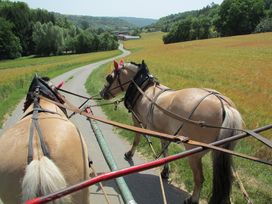 Liebliches Taubertal: den Tauber-Radweg erkunden