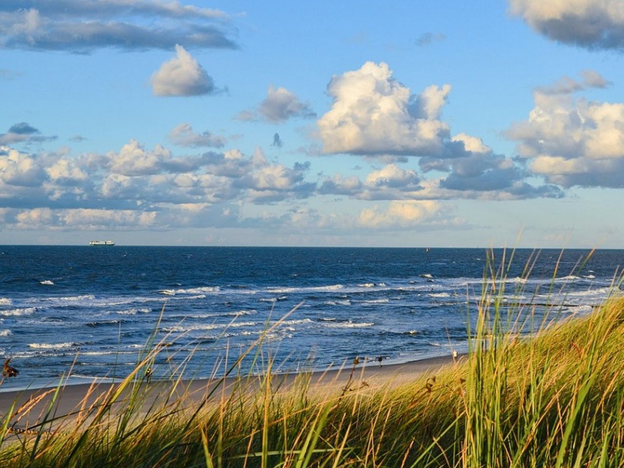 Natur pur auf Usedom