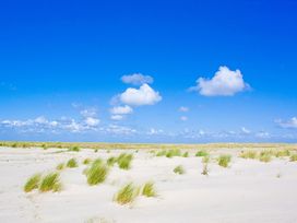 3 Tage Erholung pur in den Dünen von Zeeland