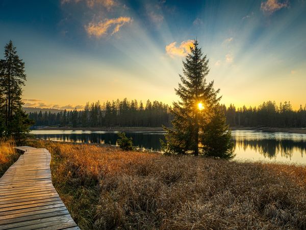 3 Tage Auszeit im Schwarzwald in Bonndorf im Schwarzwald, Baden-Württemberg inkl. Halbpension