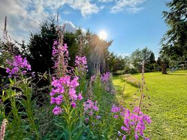 Wanderung Harzer Grenzweg & Dampfzug-Fahrt / 4 Tage