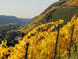 8 Tage Erholung im Tal der Loreley