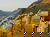 4 Tage Erholung im Tal der Loreley