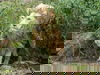 3 Tage Auszeit mit Zoo und Wellness im Saarland