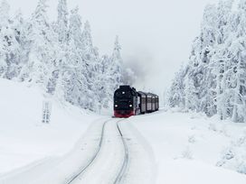 Harzer TOP DEAL: 5 Tage Superpreis