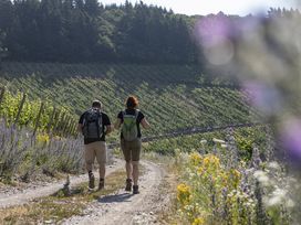 Schlemmen unter der Woche – 2 Nächte