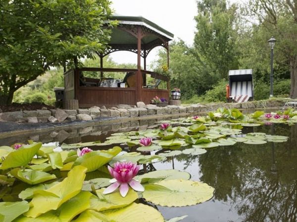 5 Tage im Pension Deichgraf mit Frühstück in Middelhagen