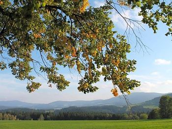 Bild 78 von 124