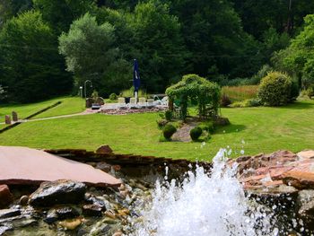 Bild 12 von 20