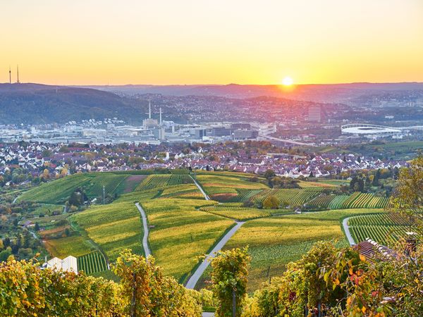 5 Tage in Weinstadt - erkunden Sie Stuttgart, Ludwigsburg und den Neckar in Weinstadt - Beutelsbach, Baden-Württemberg inkl. Frühstück