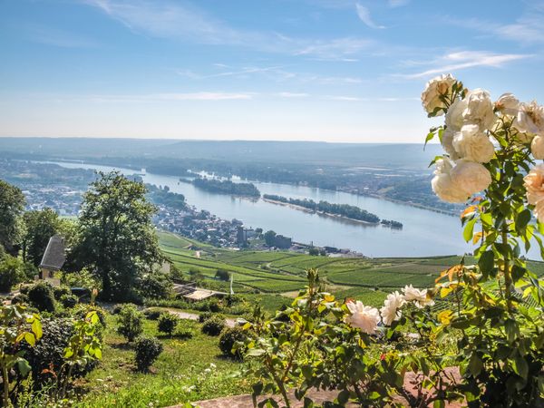 9 Tage in Rüsselsheim am Main, Hessen inkl. Frühstück