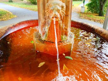 Auszeit im bekannten Kurort Marienbad - 4 Tage