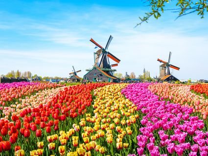 6 Tage Auszeit in der malerischen Stadt Zaandam