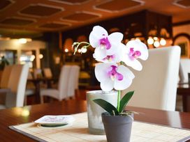 2 Tage im CAREA Residenz Hotel Harzhöhe mit AI
