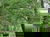 10 Tage - Spreewald All Inclusive