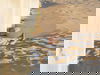3 Tage im Hotel Zuiderduin mit HP