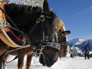 Exklusive Allgäuer AUSZEIT im Leading Spa Resort