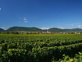 Bild 25 von 26