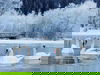 Winterschnäppchen am Beetzsee - 5 Tage inkl. HP plus
