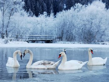 Winterschnäppchen am Beetzsee - 5 Tage inkl. HP plus