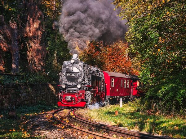 Erholung pur im Harz I 5 Tage Kurzurlaub in Bad Lauterberg, Niedersachsen inkl. Frühstück