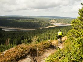 6 Tage Internationaler Schlemmer-Kurztrip in den Harz im Luftkurort Braunlage