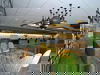 3 Tage im Hotel Zuiderduin mit HP
