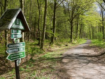 Rennsteig PUR: Entspannung, Relax & Aktiv sein
