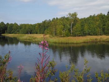 7 Verwöhntage in der Rhön