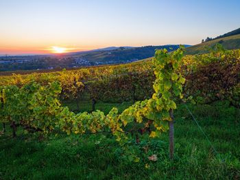 Auf in den Sattel - Radl-Spaß im Taunus  | 3 Tage