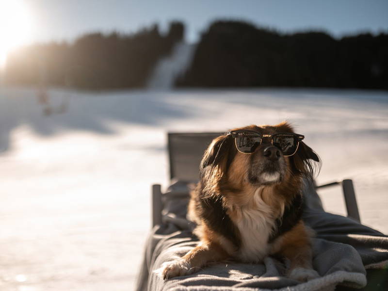 3 Tage Skiauszeit in Fieberbrunn inkl. Skipass