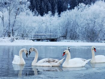Ostfriesen Winterschnäppchen - 5 Tage inkl. HP plus