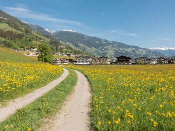 Sommerliches Bergerlebnis im Zillertal - 6 Tage