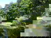 Kerzenschein - Zweisamkeit / 3 Tage