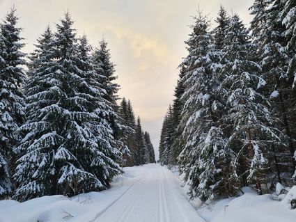 5 Tage Vogtländer Winterschnäppchen inkl. HP plus