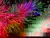 Castanea Fire & Lights