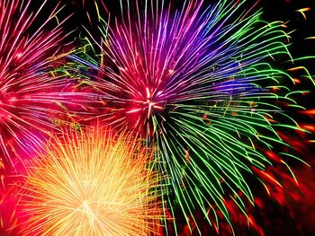 Castanea Fire & Lights