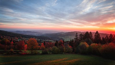 Zwiesel & Bayerischer Wald