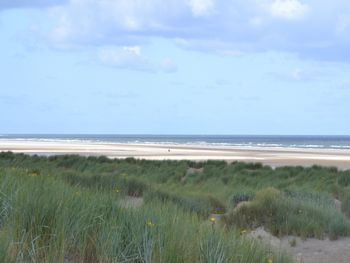 6 Tage Küstenzauber & Dünenruhe in Ouddorp erleben