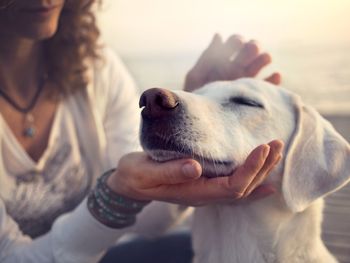 Mit Ihrem Vierbeiner unterwegs... Hunde-Auszeit