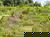 Familien-Urlaubswoche im veg. Bio-Resort 8 Tage