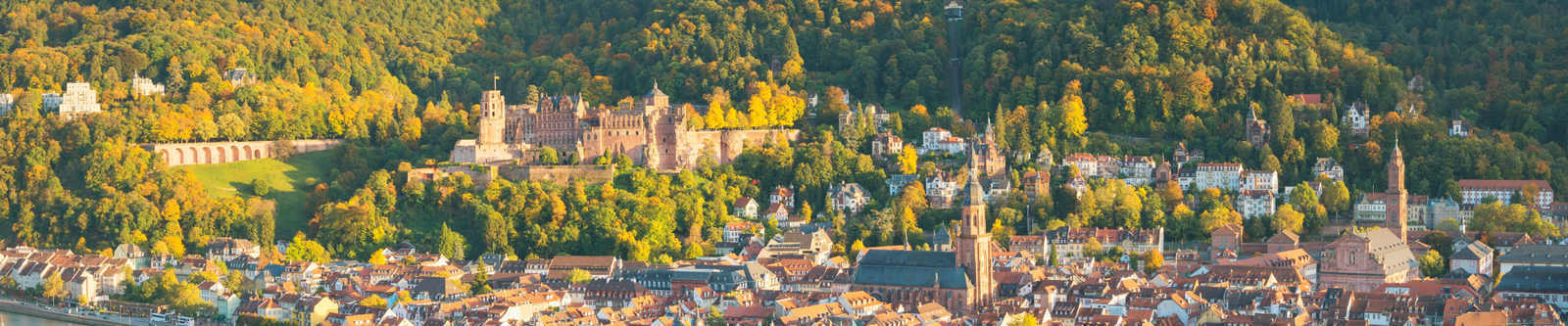 Heidelberg Stadtansicht