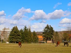 Harz All Inclusive! 3 Tage im CAREA Harzhotel Allrode