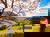 3 Tage Schwarzwald: Biker - Trip
