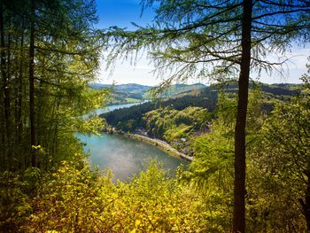 4 Tage im Hotel Hochsauerland 2010 mit Frühstück