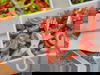 Sonnenwolfi´s  All-Inclusive - 4 Tage Familienspaß!
