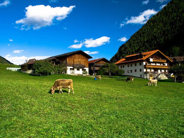Landhotel & Berggasthof Panorama