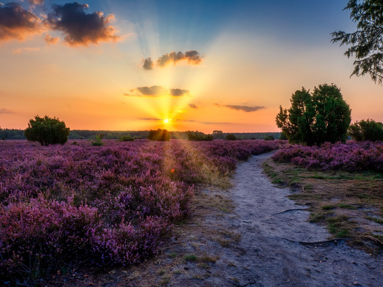 Kleine Auszeit in der Lüneburger Heide