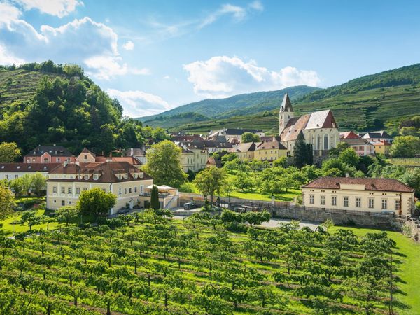 4 Tage Weingenuss in Niederösterreich mit HP in Spitz inkl. Halbpension